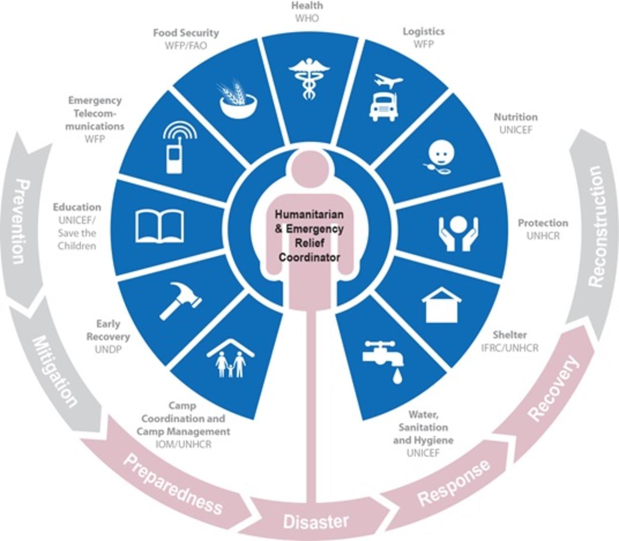 Clusters and their lead agencies