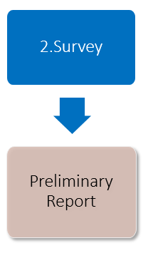 Survey Step