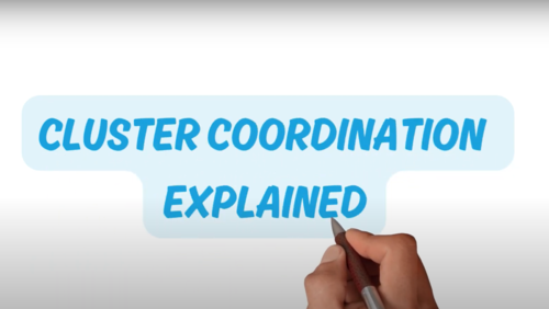 Watch this video to understand how coordination drives effective and inclusive humanitarian action.