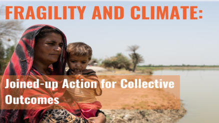 UNICEF-led/co-lead Clusters/AoR Side Event at COP 28: Fragility and Climate: Joined up action for Collective image