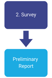 Survey -> Preliminary Report
